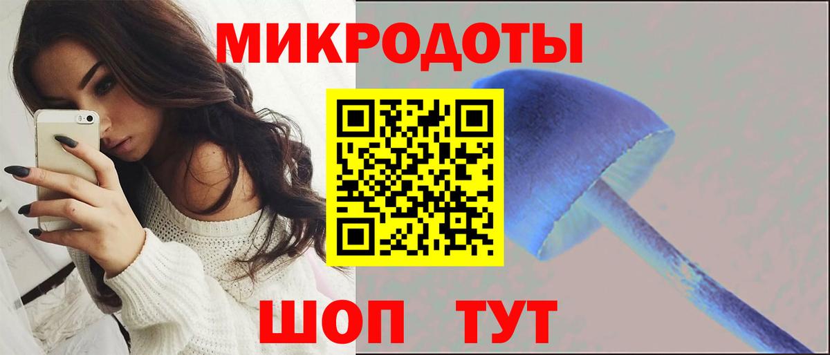 Новотроицк  как найти наркотики  Вход с VPN  Псилоцибиновые грибы мицелий 
